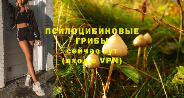 сатива Арсеньев