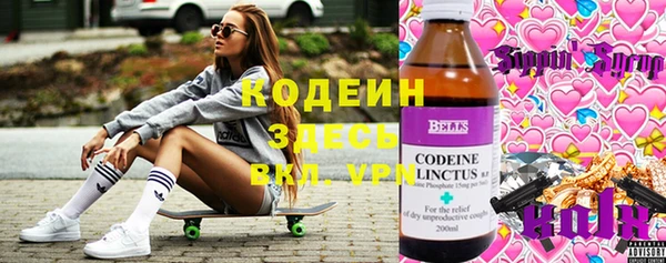 сатива Арсеньев
