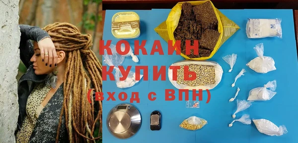 сатива Арсеньев