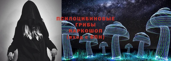 сатива Арсеньев